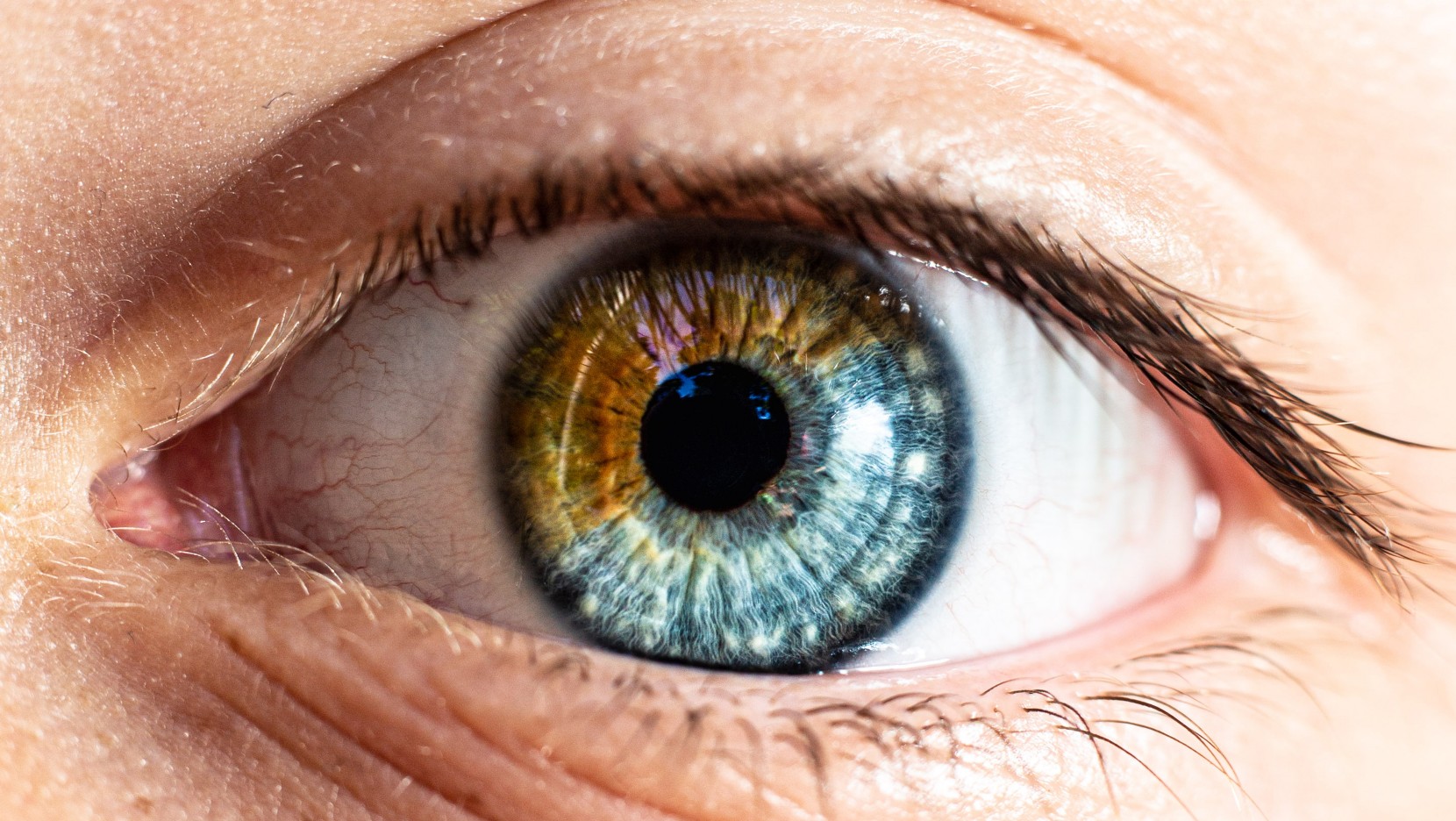 GÖZLERİMİZİN RENGİ