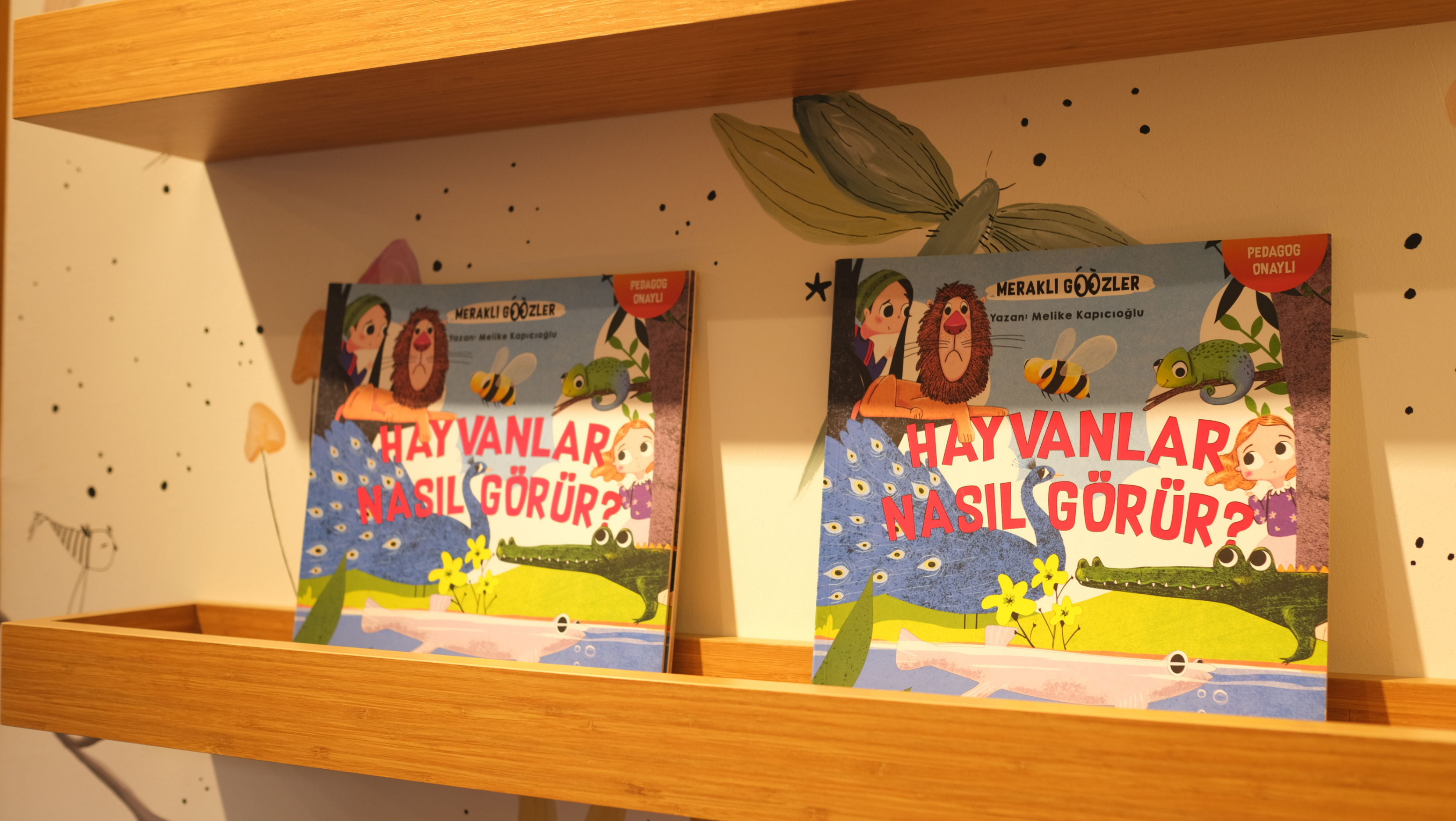 Hayvanlar Nasıl Görür Kitabımızın Yazarı Melike Kapıcıoğlu Küçük Okurlarıyla Buluştu.