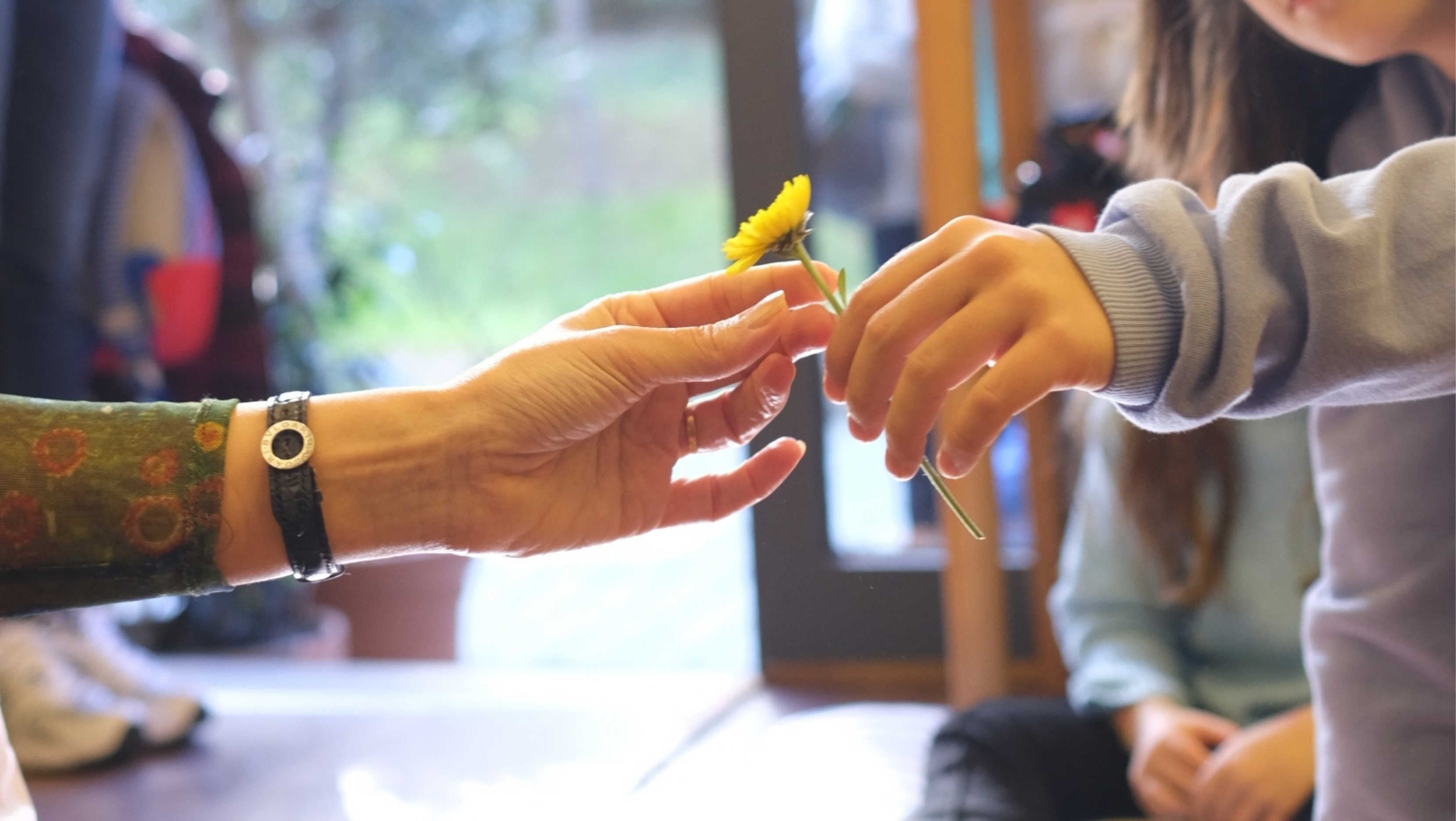 Hayvanlar Nasıl Görür Kitabımızın Yazarı Melike Kapıcıoğlu Küçük Okurlarıyla Buluştu.